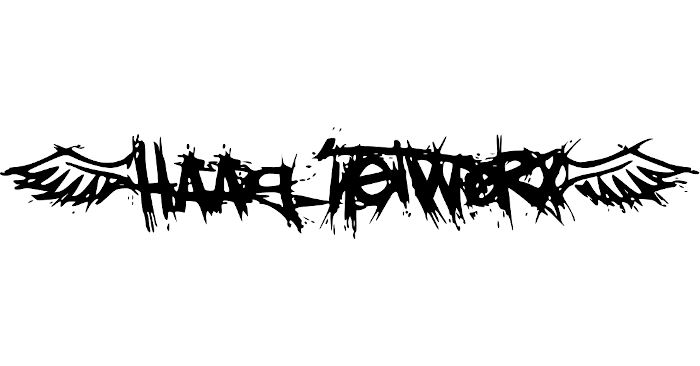 Sponsor haag networx 700x366